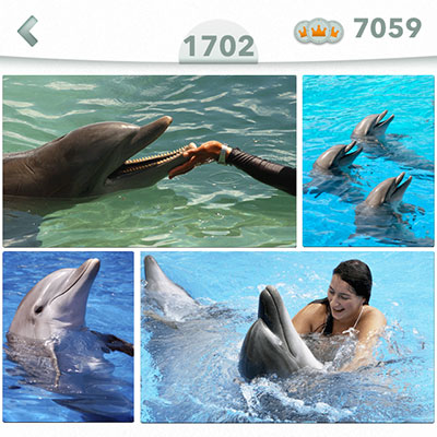  Delfin 