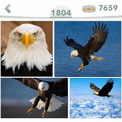  Aguila 