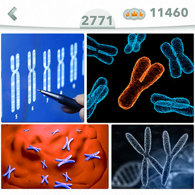  Cromosoma 