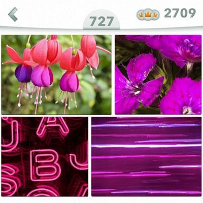  Fucsia 