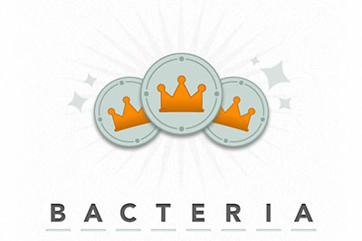  Bacteria 