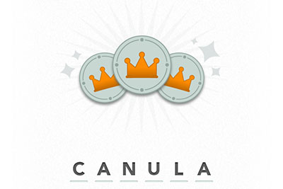  Canula 