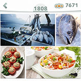  Atun 