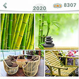  Bambu 