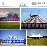  Carpa 